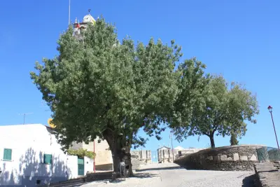 Chiesa Parrocchiale di Freixo de Espada à Cinta