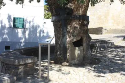 Chiesa Parrocchiale di Freixo de Espada à Cinta