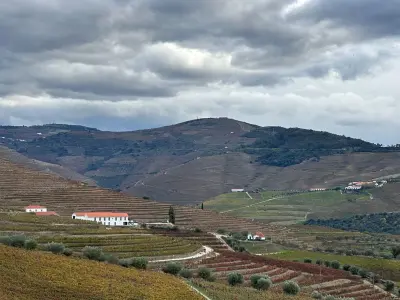 Adega Cooperativa de Freixo