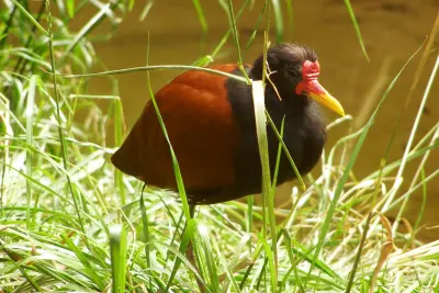 Parc Biologique de Gaia