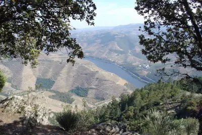 Miradouro do Peso