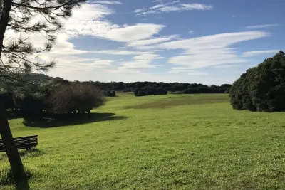 Parc de la Ville de Porto