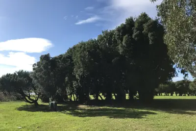 Parc de la Ville de Porto