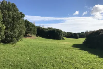 Parc de la Ville de Porto