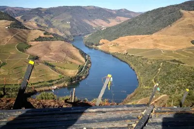 Quinta das Carvalhas
