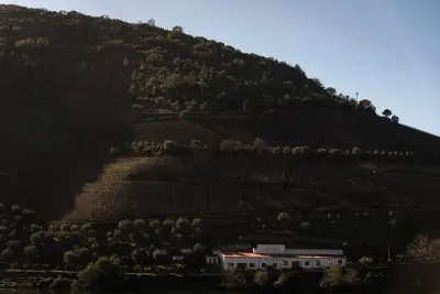 Quinta das Carvalhas