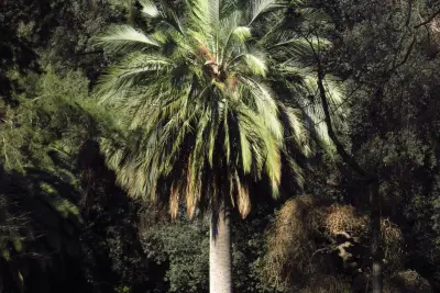 Quinta de Santiago