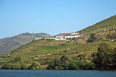 Quinta de São Luiz