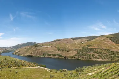 Quinta de São Luiz