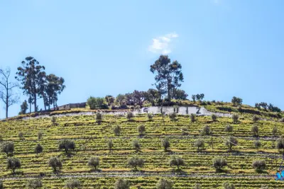 Quinta de São Luiz