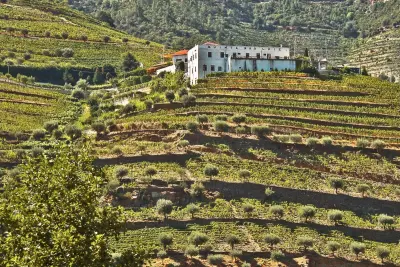Quinta de São Luiz