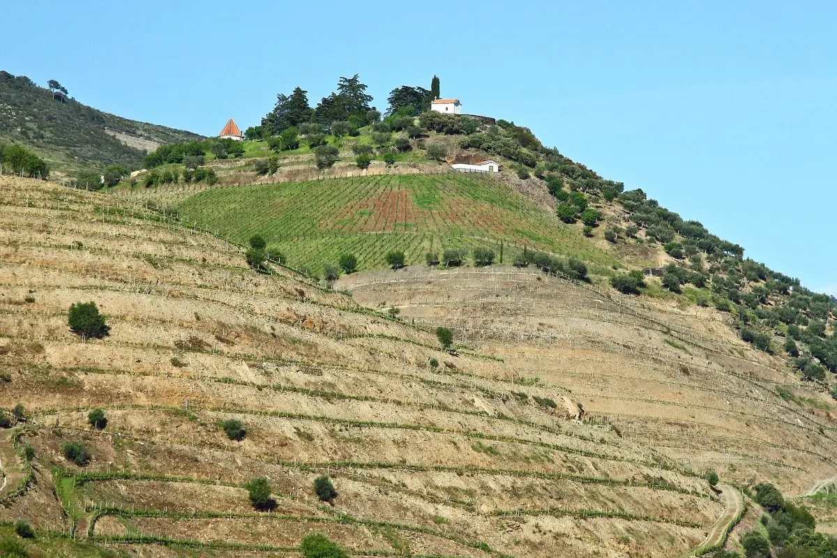 Quinta do Crasto