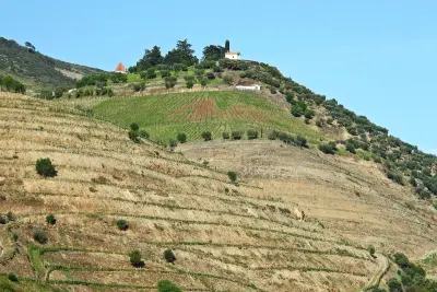 Quinta do Crasto
