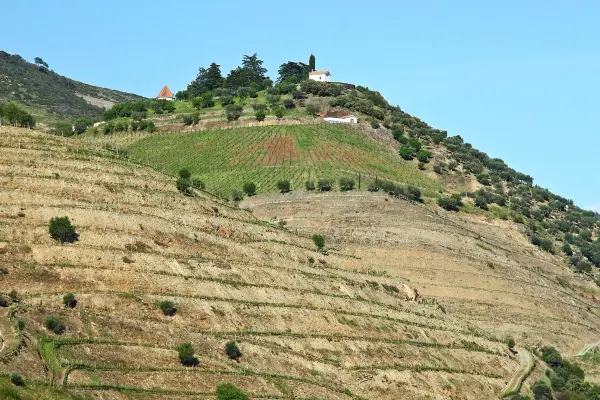 Quinta do Crasto