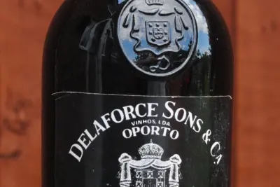 Quinta do Crasto – Alijó