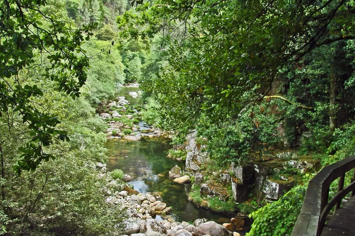 Quinta do Paço de Santar