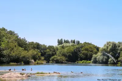 Quinta do Sardão