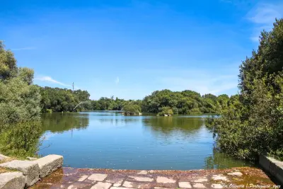 Quinta do Sardão