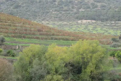 Quinta do Vale Meão