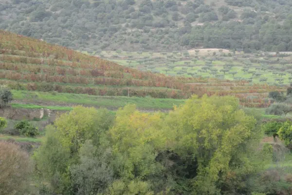 Quinta do Vale Meão