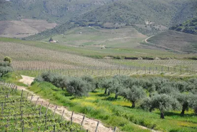 Quinta do Vale Meão