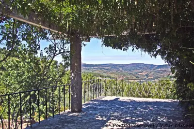 Miradouro de Sabrosa