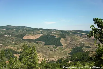 Miradouro de Sabrosa