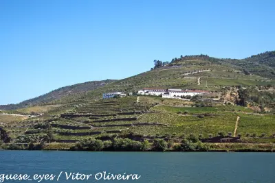 Adega de Sabrosa