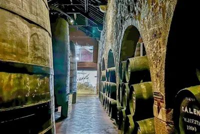 Caves Sandeman