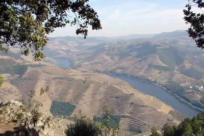 Miradouro de São Leonardo da Galafura