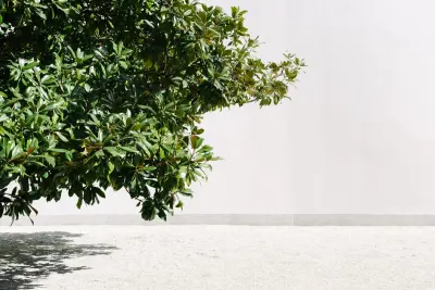 Fondazione Serralves