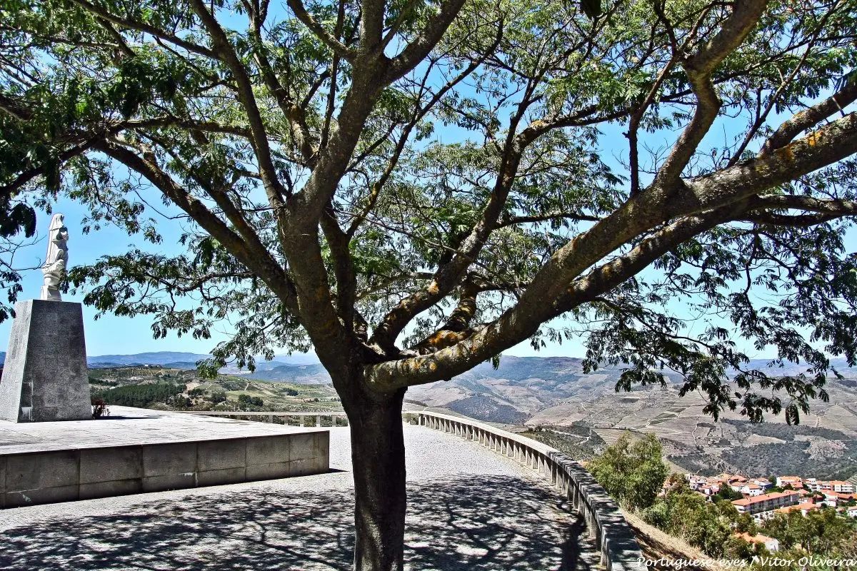 Miradouro de Tabuaço