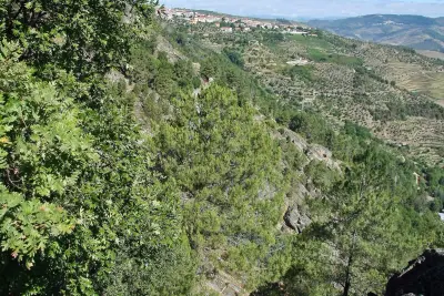 Miradouro de Tabuaço