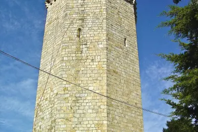 Hahn-Turm – Freixo