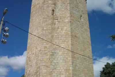 Hahn-Turm – Freixo
