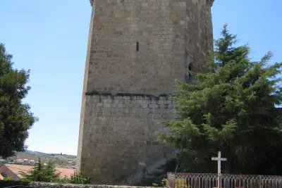 Hahn-Turm – Freixo