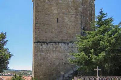 Hahn-Turm – Freixo