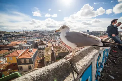 Miradouro da Vitória