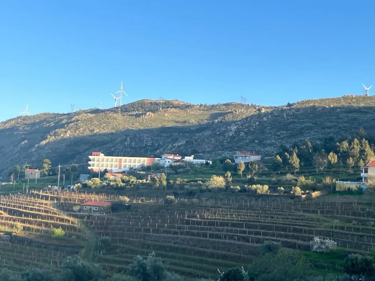 Discover the Placido Hotel Douro Tabuaco: A Jewel of Hospitality in the Heart of Douro - Imagem 25