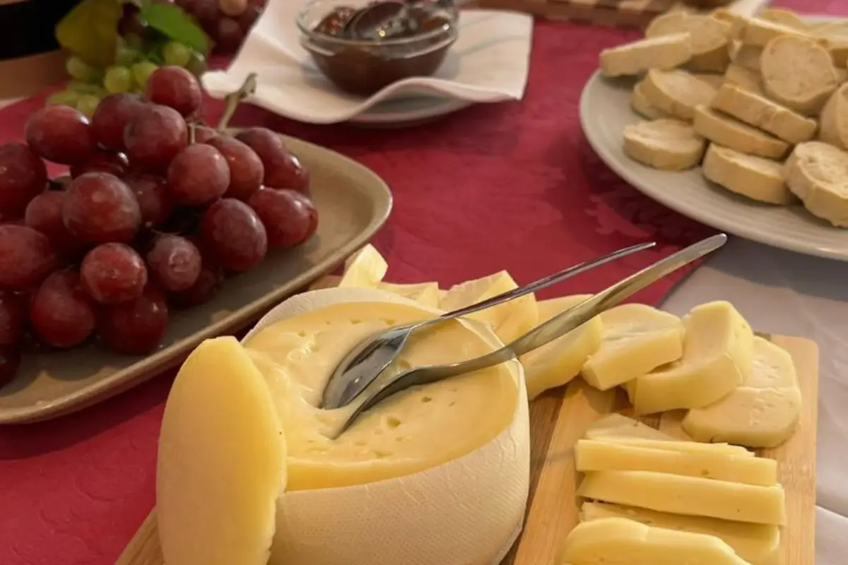 Discover the Placido Hotel Douro Tabuaco: A Jewel of Hospitality in the Heart of Douro - Imagem 89