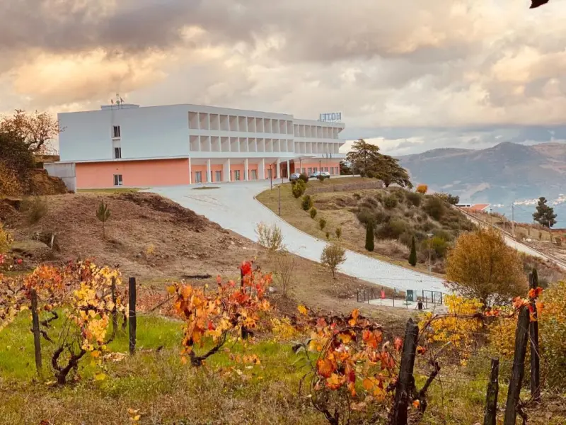 Discover the Placido Hotel Douro Tabuaco: A Jewel of Hospitality in the Heart of Douro