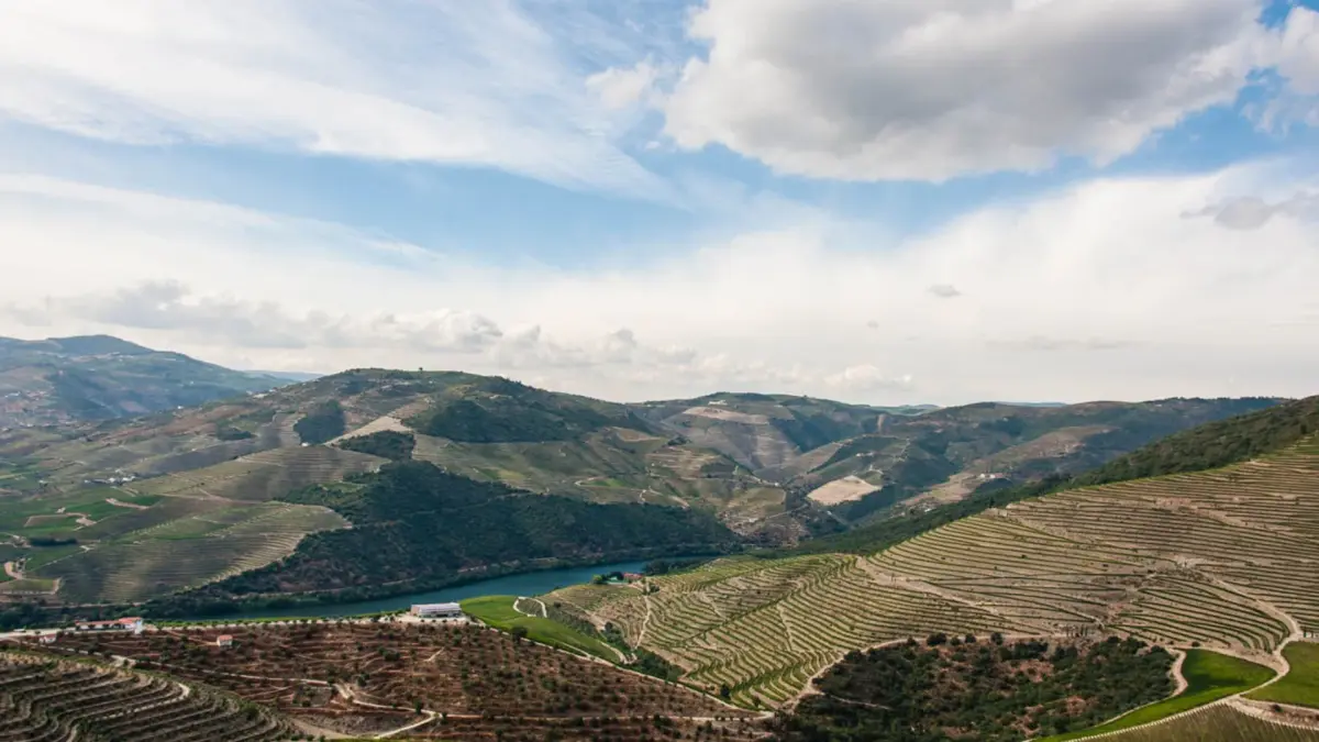 Qué Hacer en el Valle del Duero | Douro Vinhateiro