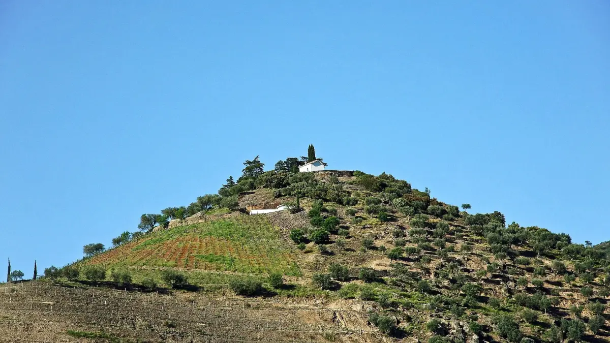 Where to Stay in the Douro Valley | Douro Vinhateiro