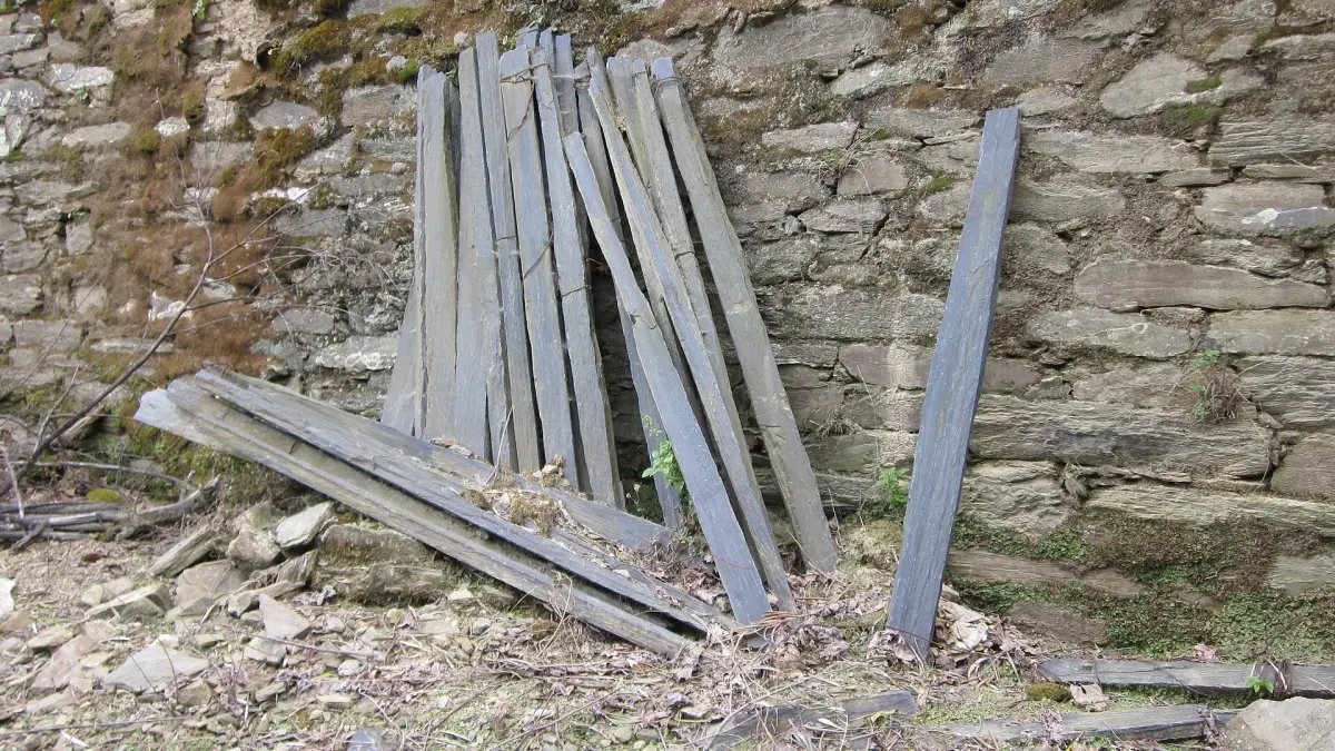 Pinhão What to Do | Douro Vinhateiro