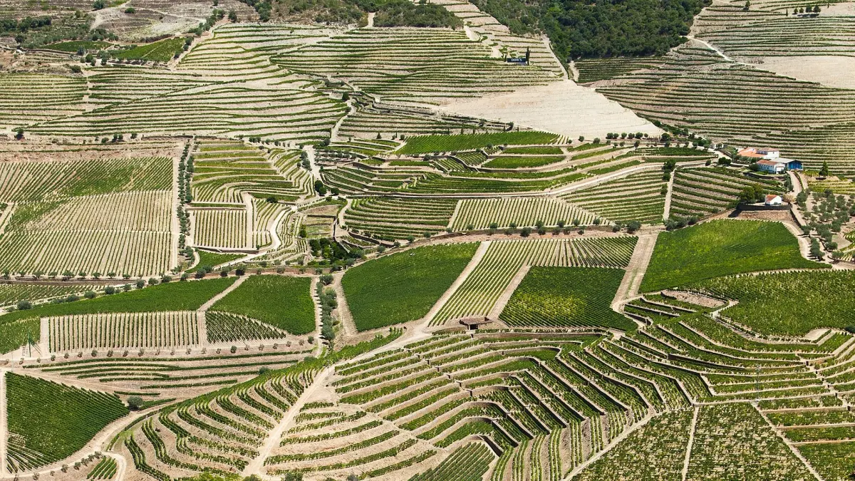 Douro em 3 Dias Itinerário | Douro Vinhateiro