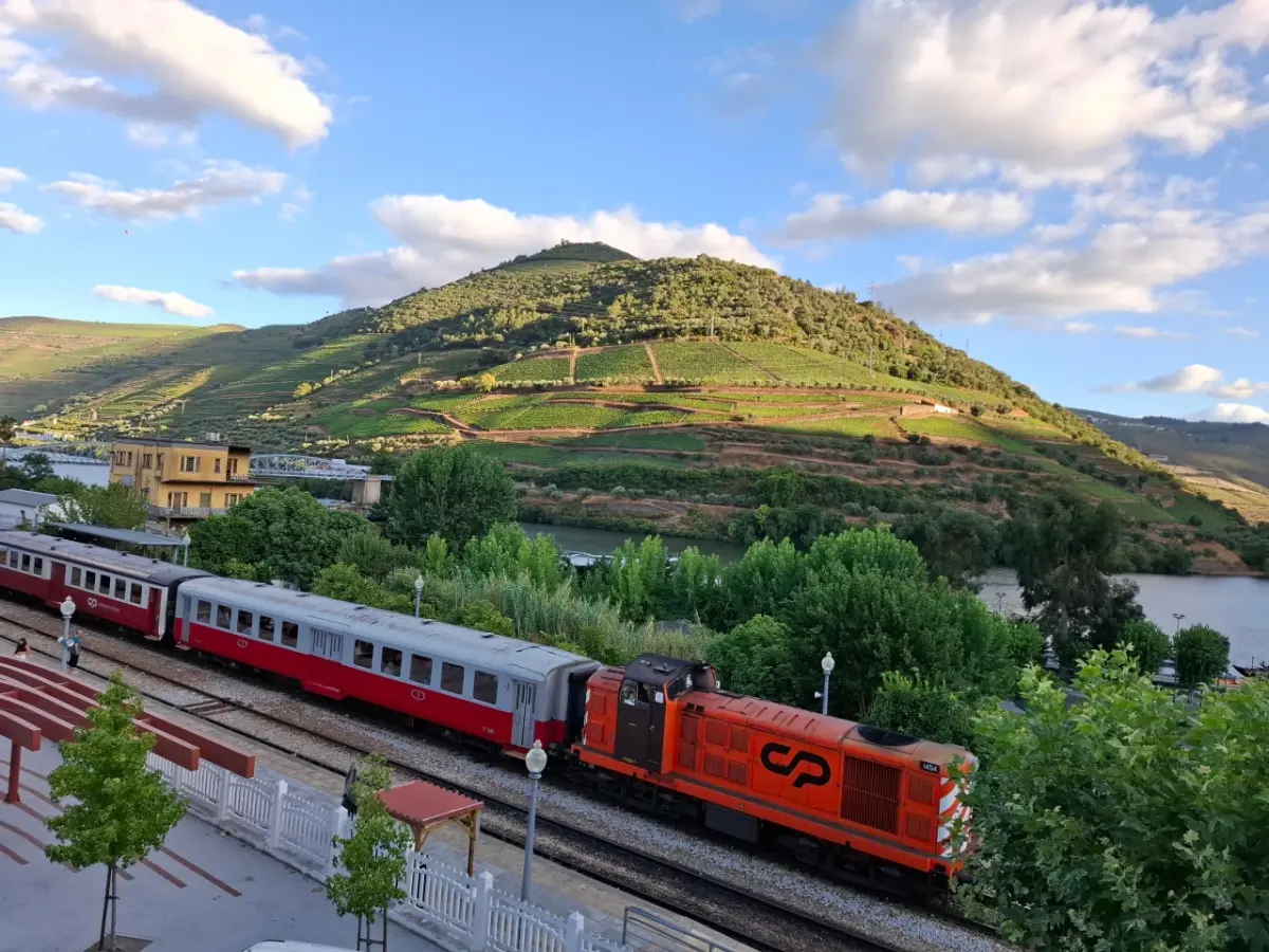 Douro Historic Train 2026: Complete Régua to Tua Guide