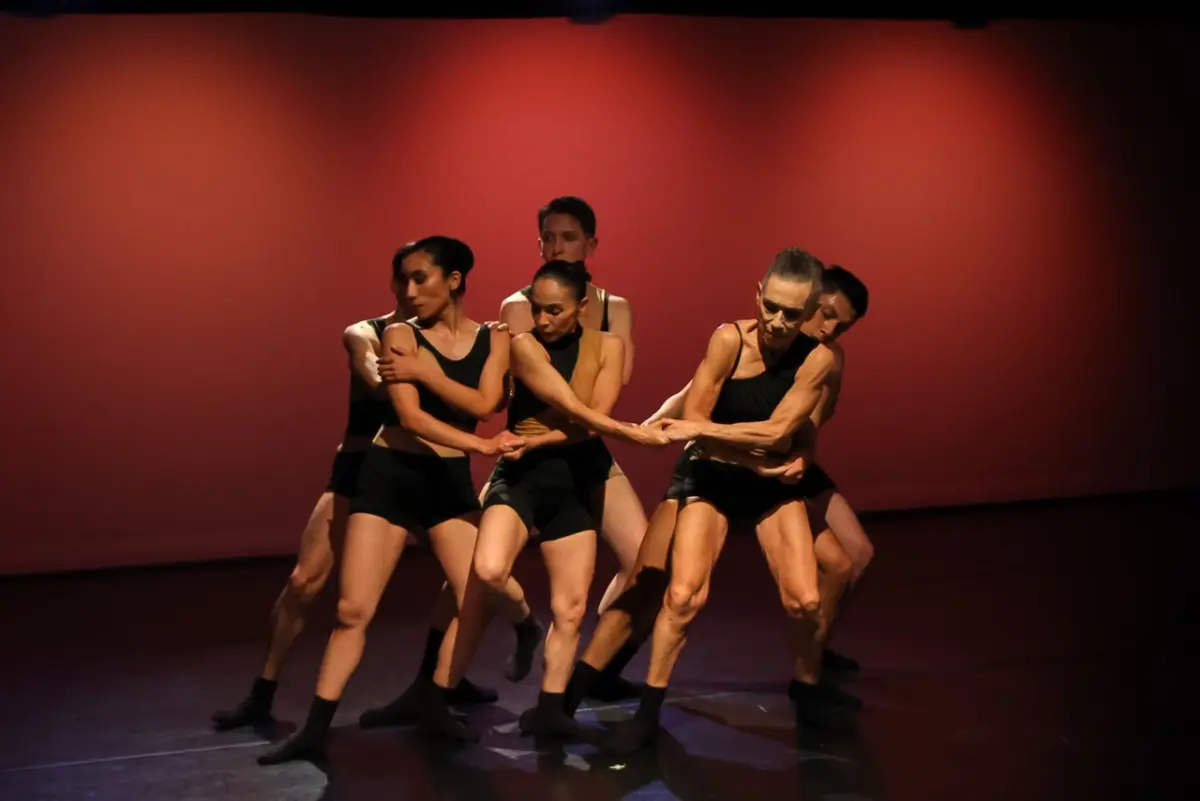 MECHITA 2026 — Teatro Municipal de Vila Real