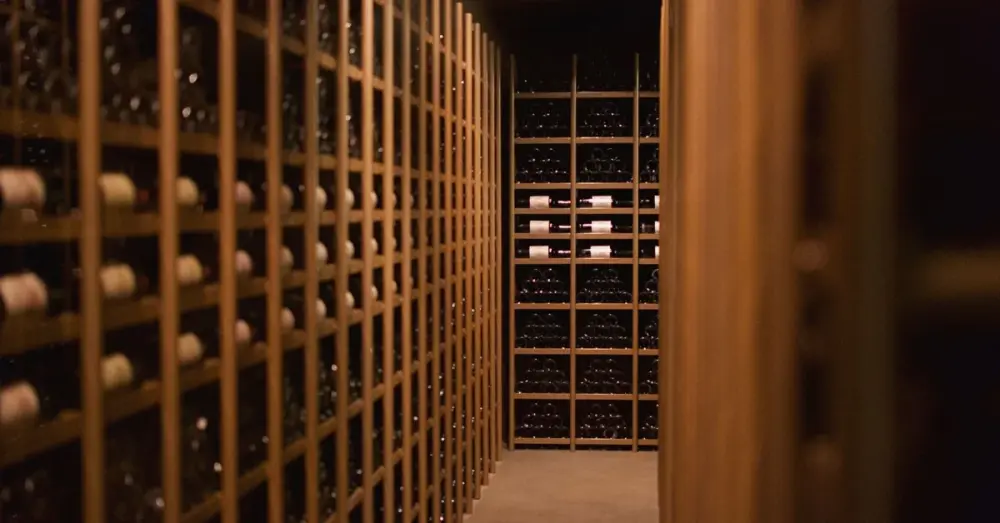 Roteiro de enoturismo para iniciantes no Douro