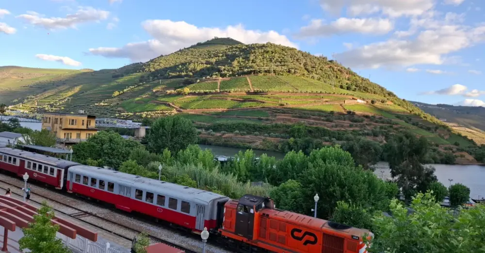 Roteiro comboio histórico do Douro + quintas