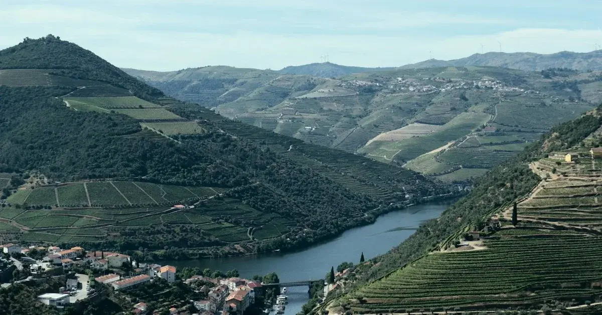 Oenotourisme Bio dans la Vallée du Côa | Quinta do Vallado